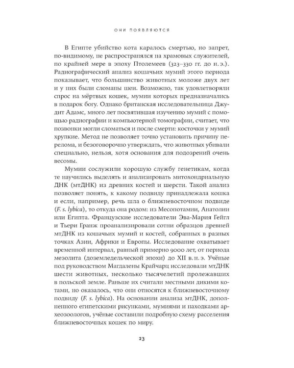 Человек среди котов: История близкого соседства