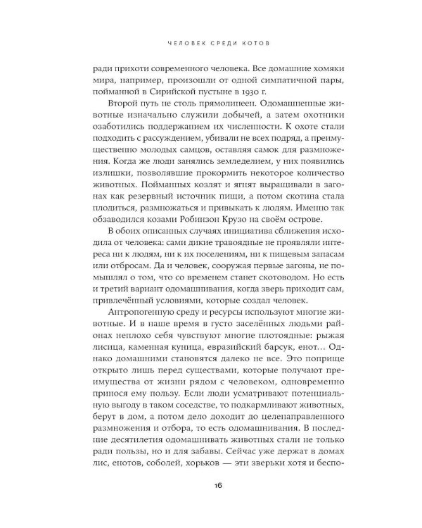 Человек среди котов: История близкого соседства