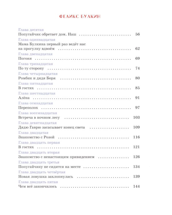 Феликс Булкин: повесть