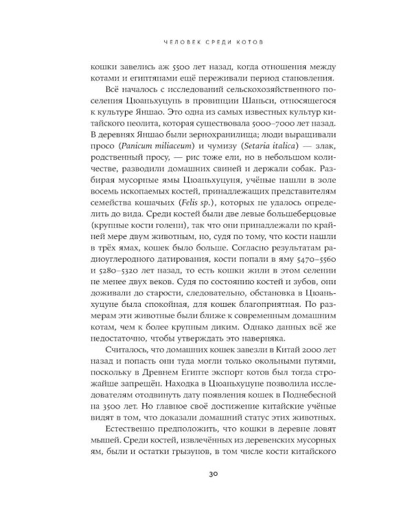Человек среди котов: История близкого соседства