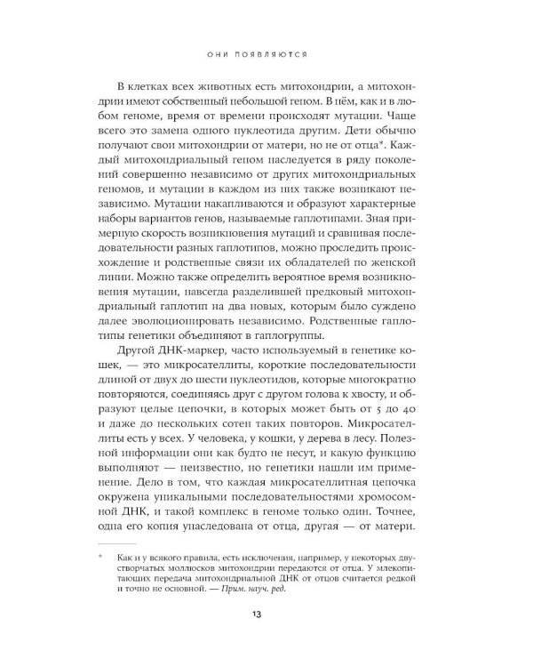 Человек среди котов: История близкого соседства