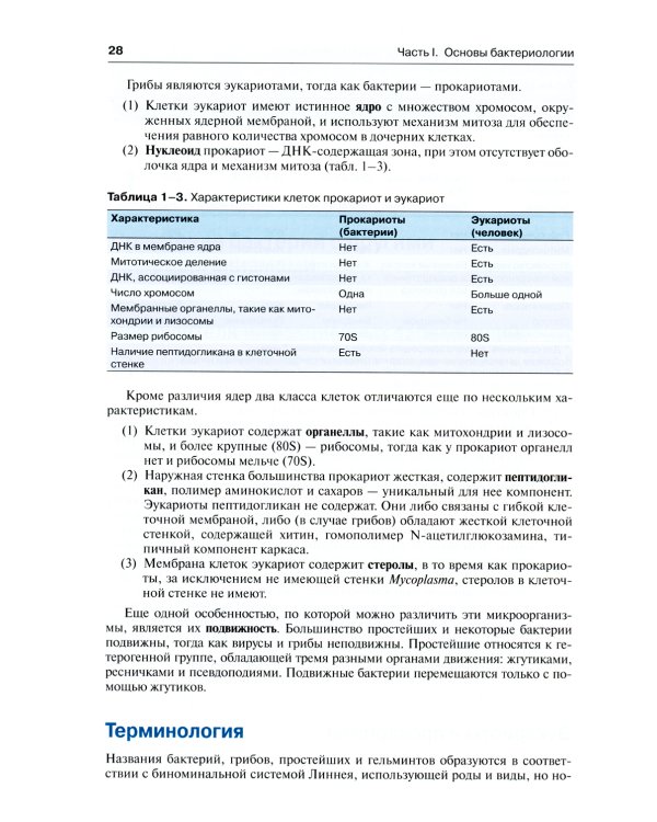 Медицинская микробиология и иммунология