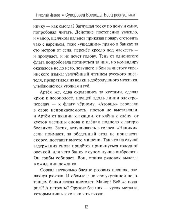 Суворовец Воевода. Боец республики: роман