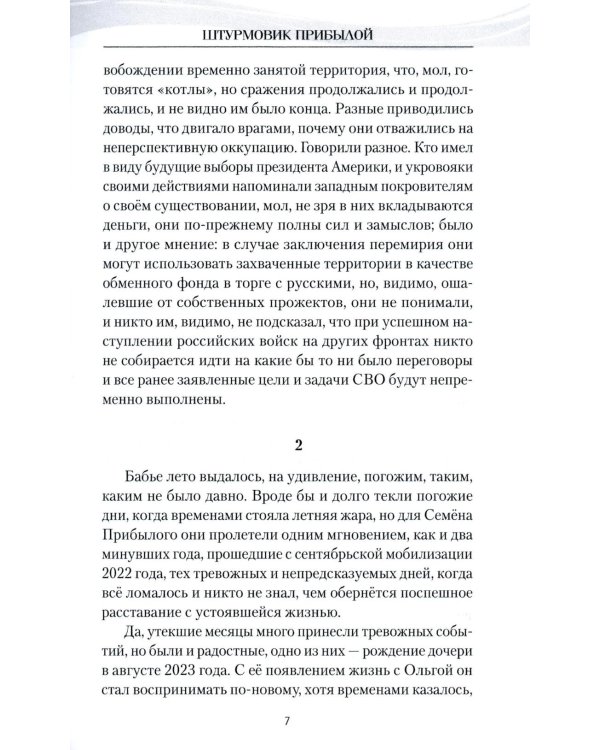 Штурмовик Прибылой: роман