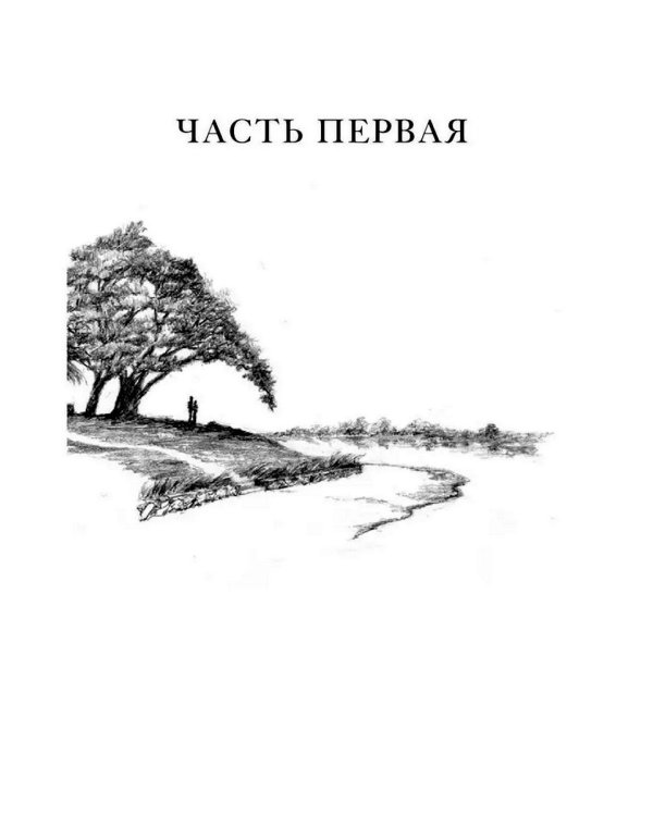 Завет воды: роман