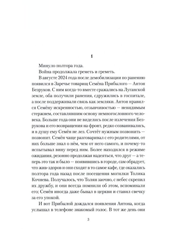 Штурмовик Прибылой: роман
