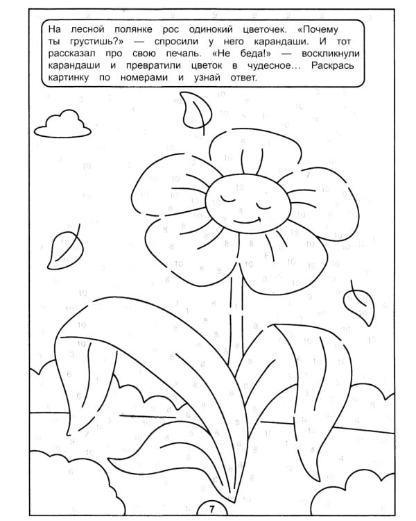 Картинки-загадки. Отгадки с секретом. В сказочном лесу