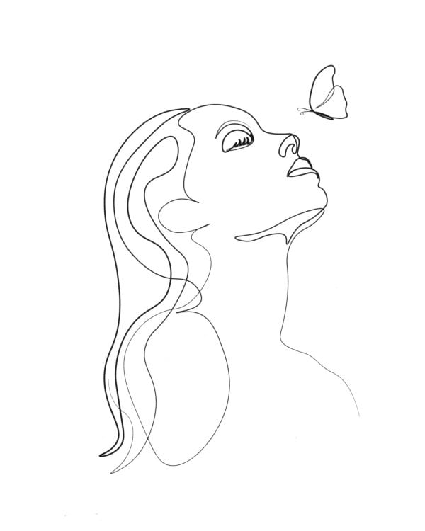 Парадокс Севера