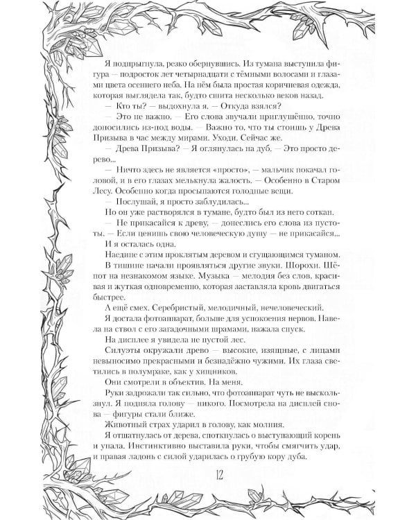 Дополнительное изображение книги «Двор ледяных сердец»