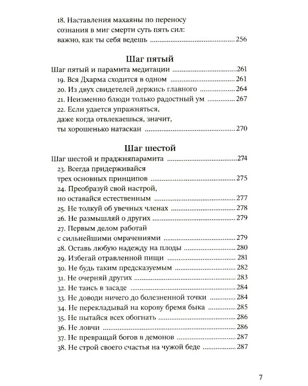 Путь есть цель. Воспитание ума и развитие заботливой доброжелательности