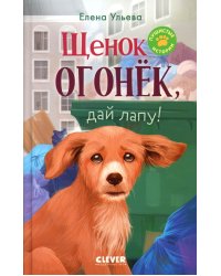 Щенок Огонек, дай лапу!