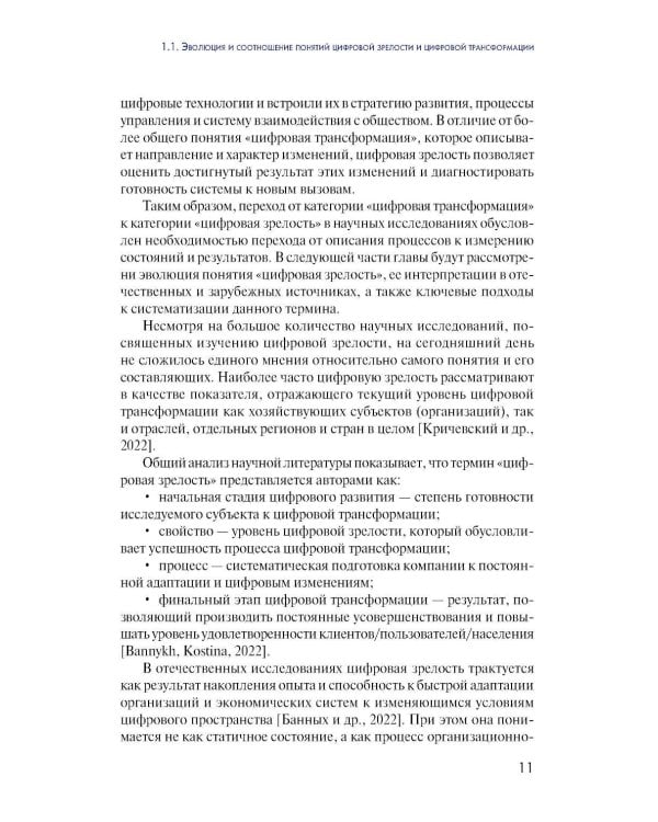 Дополнительное изображение книги «Цифровая зрелость государственного управления в России: теория, методология, практика оценки: монография»