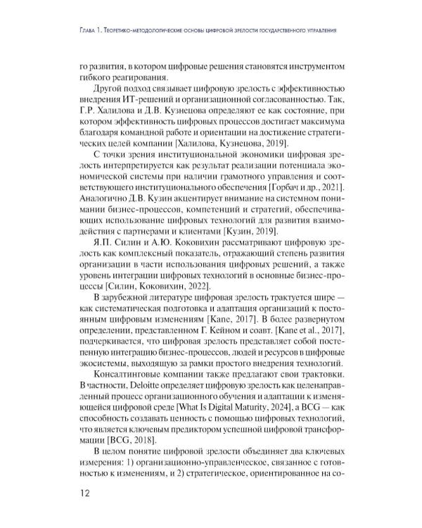 Дополнительное изображение книги «Цифровая зрелость государственного управления в России: теория, методология, практика оценки: монография»