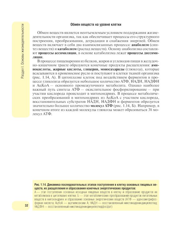 Физиология человека. Атлас динамических схем: Учебное пособие. 2-е изд., испр. и доп