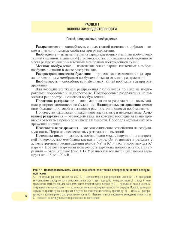 Физиология человека. Атлас динамических схем: Учебное пособие. 2-е изд., испр. и доп