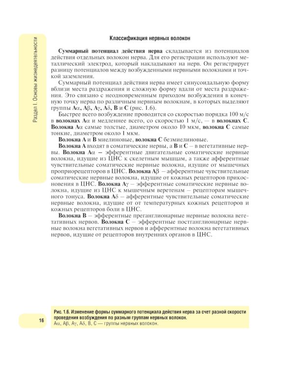 Дополнительное изображение книги «Физиология человека.Атлас динамических схем»