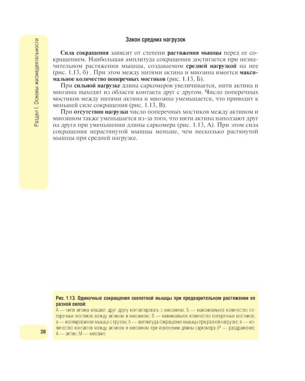 Физиология человека. Атлас динамических схем: Учебное пособие. 2-е изд., испр. и доп