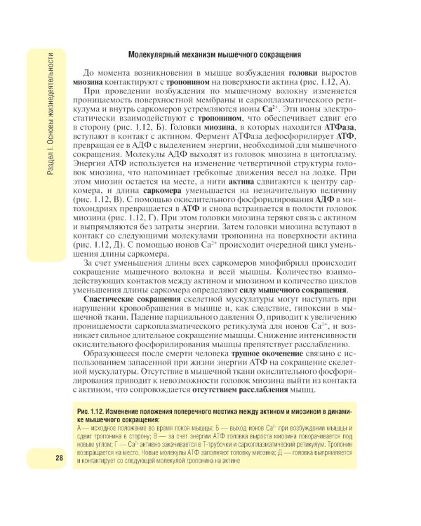 Физиология человека. Атлас динамических схем: Учебное пособие. 2-е изд., испр. и доп
