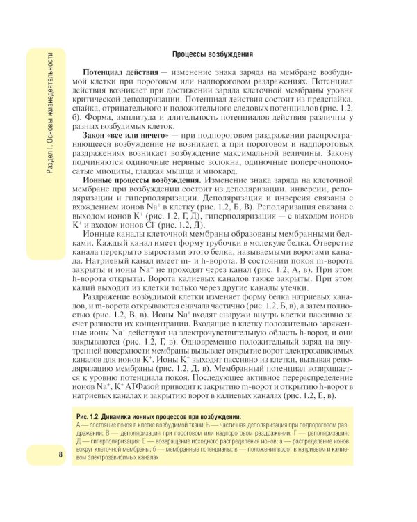 Физиология человека. Атлас динамических схем: Учебное пособие. 2-е изд., испр. и доп