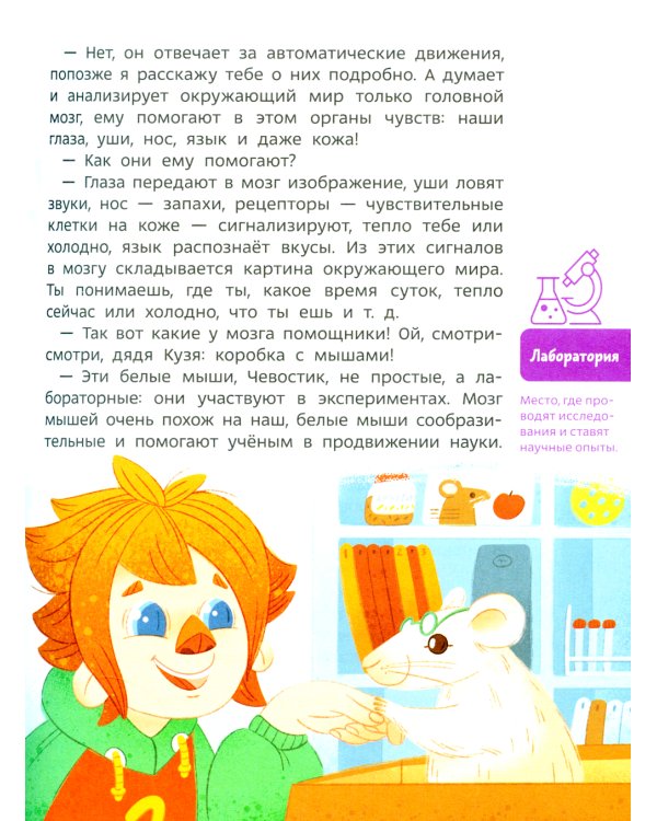 Дополнительное изображение книги «Как устроен мозг. Детская энциклопедия»
