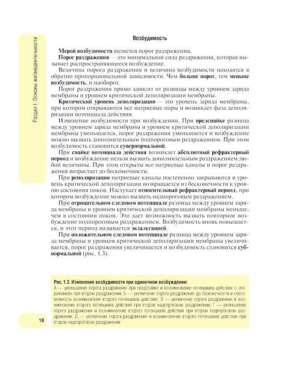 Физиология человека. Атлас динамических схем: Учебное пособие. 2-е изд., испр. и доп