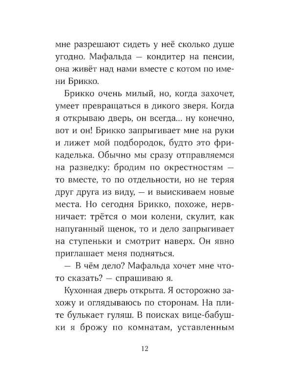 Аделина Тестафина и тайна пропавшей вице-бабушки