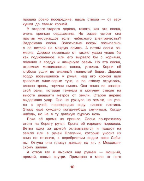 Под крыльцом