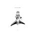 The Little Prince