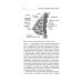 Заболевания молочных желез в гинекологии. 2-е изд., перераб. и доп