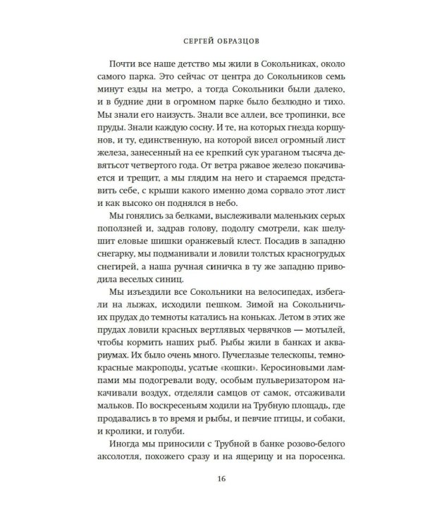 Моя профессия