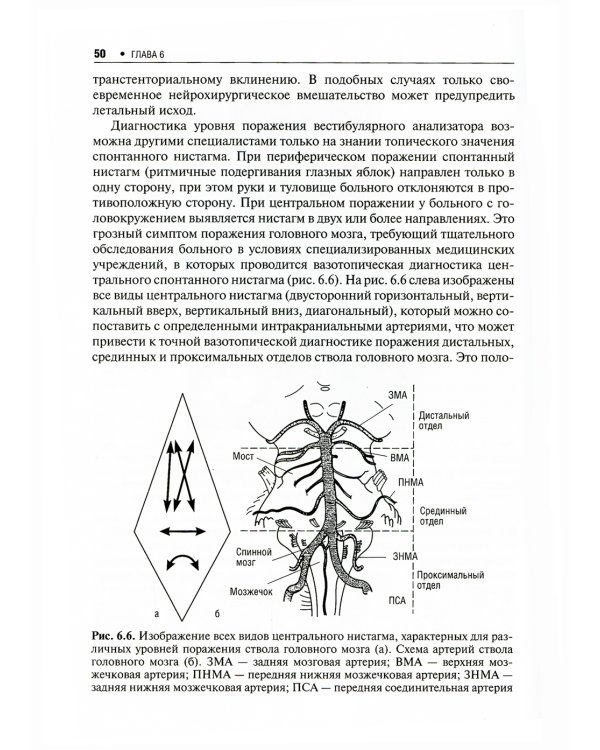 Практическая неврология