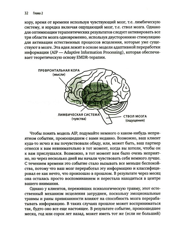 Искусство и наука EMDR: помощь психотерапевтам на пути от теории к практике