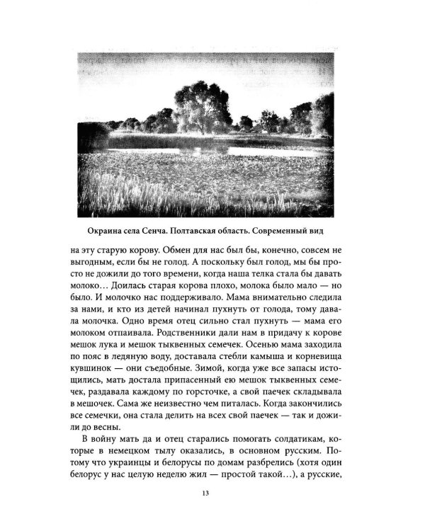 Лаврский печальник. Игумен Виссарион (Великий-Остапенко). Жизнеописание. Воспоминания о нем братии и духовных чад