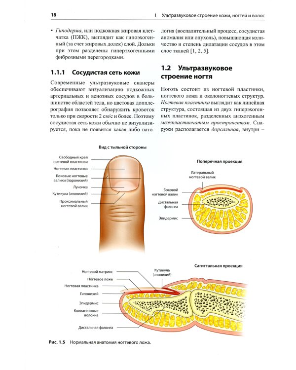 Атлас по ультразвуковому исследованию в дерматологии: мягкие ткани, кожа, придатки кожи