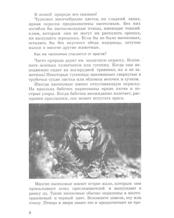 Беседы о насекомых с детьми 5-8 лет. 2-е изд., испр