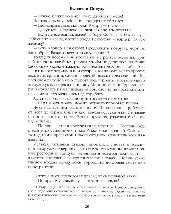 Моонзунд: роман-хроника