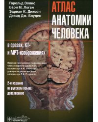Атлас анатомии человека в срезах, КТ- и МРТ-изображениях