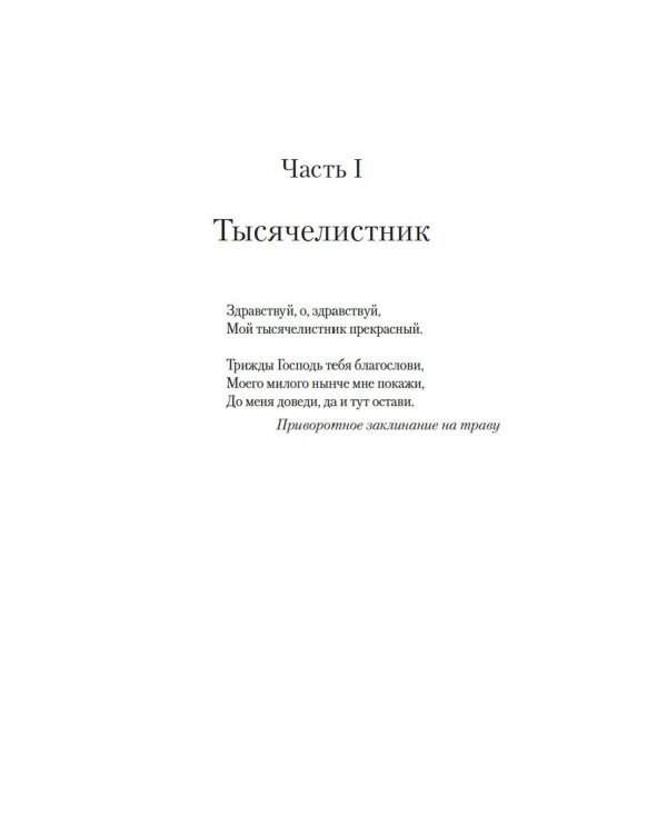 Сад чудес и волшебная арфа: роман