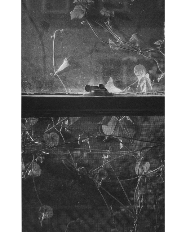 Письма ниоткуда