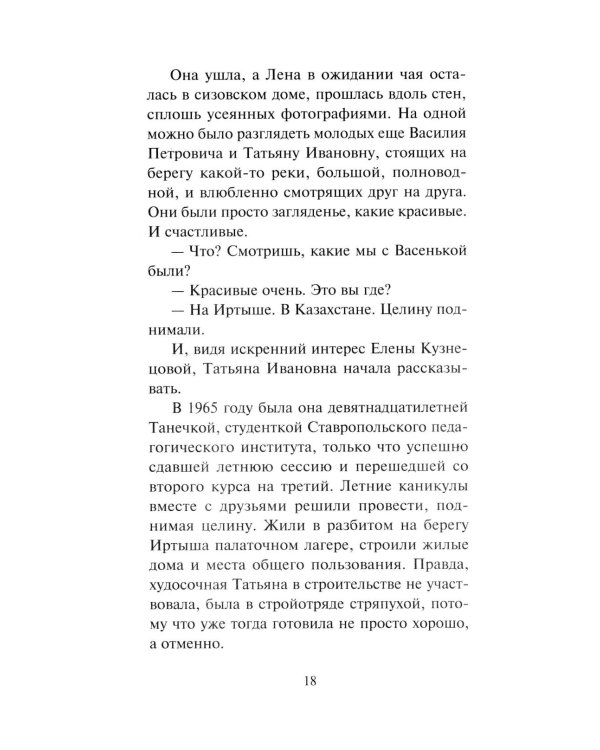 Зигзаг у дачи: роман