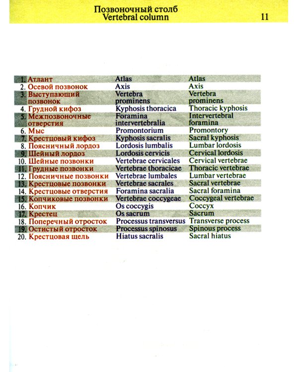 Карманный атлас анатомии человека: Учебное пособие