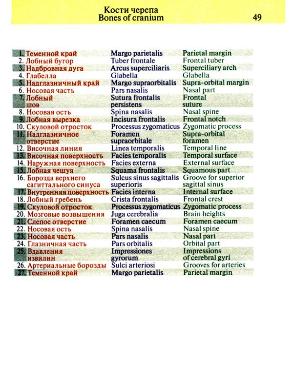 Карманный атлас анатомии человека: Учебное пособие