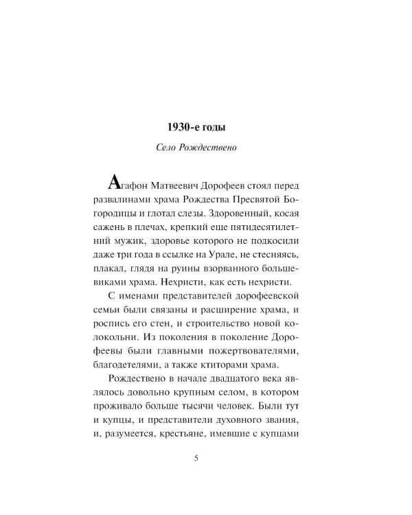 Зигзаг у дачи: роман