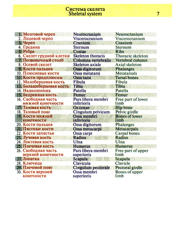 Карманный атлас анатомии человека: Учебное пособие