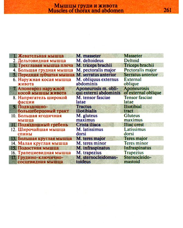 Карманный атлас анатомии человека: Учебное пособие