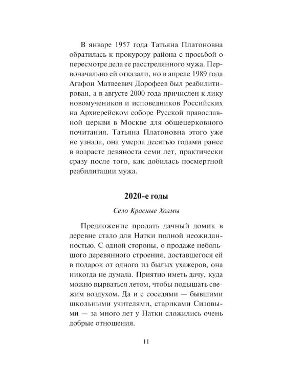 Зигзаг у дачи: роман