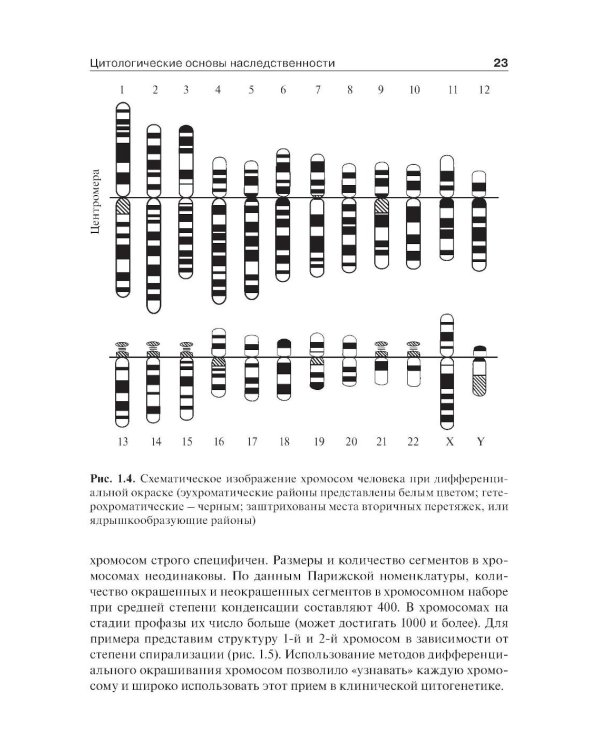 Медицинская генетика: Учебник