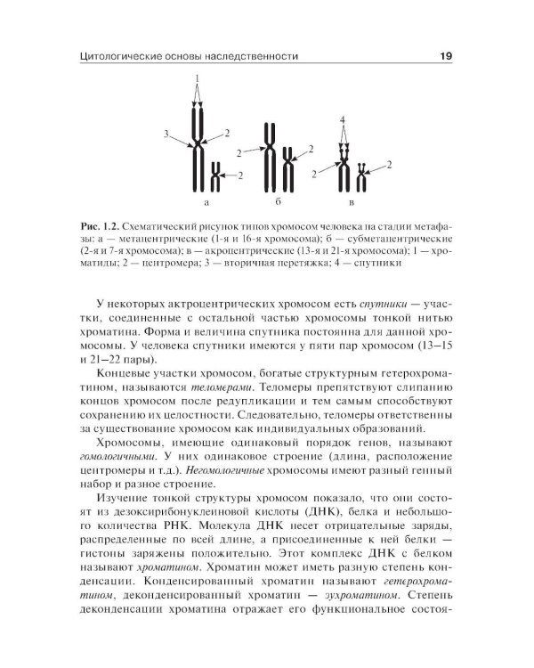 Медицинская генетика: Учебник