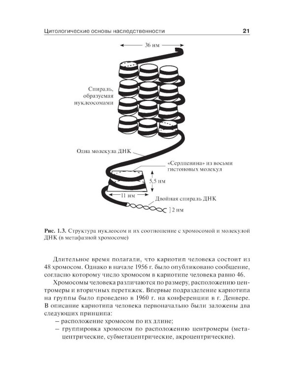 Медицинская генетика: Учебник