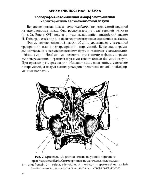Функциональная анатомия околоносовых пазух: Учебное пособие